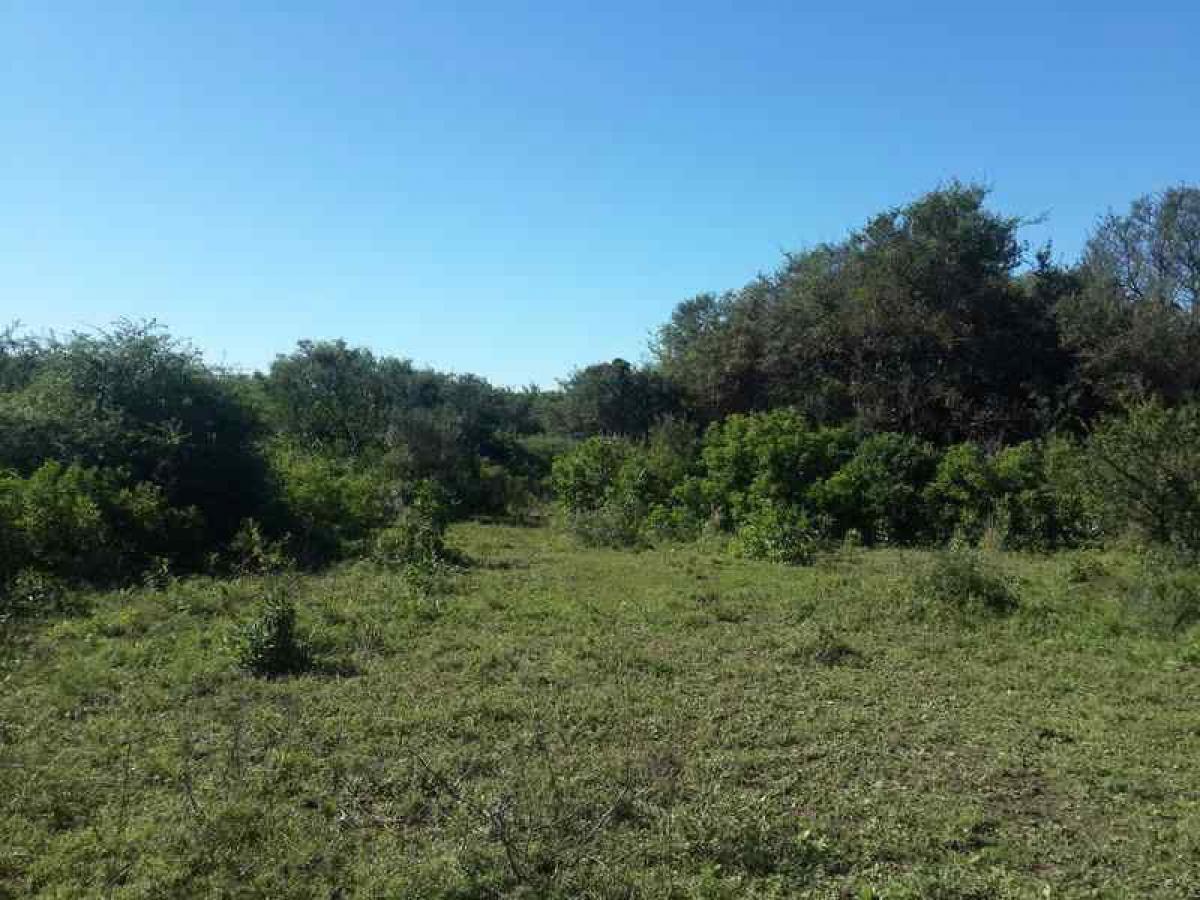 Picture of Other Commercial For Sale in Cordoba, Cordoba, Argentina