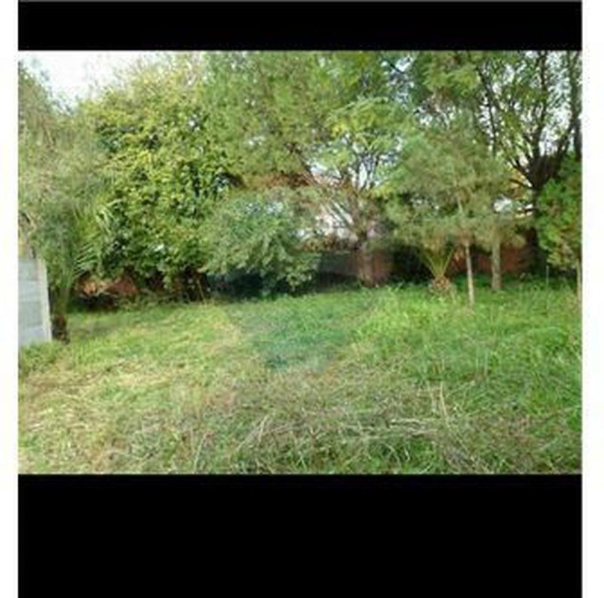 Picture of Residential Land For Sale in Mercedes, San Luis, Argentina
