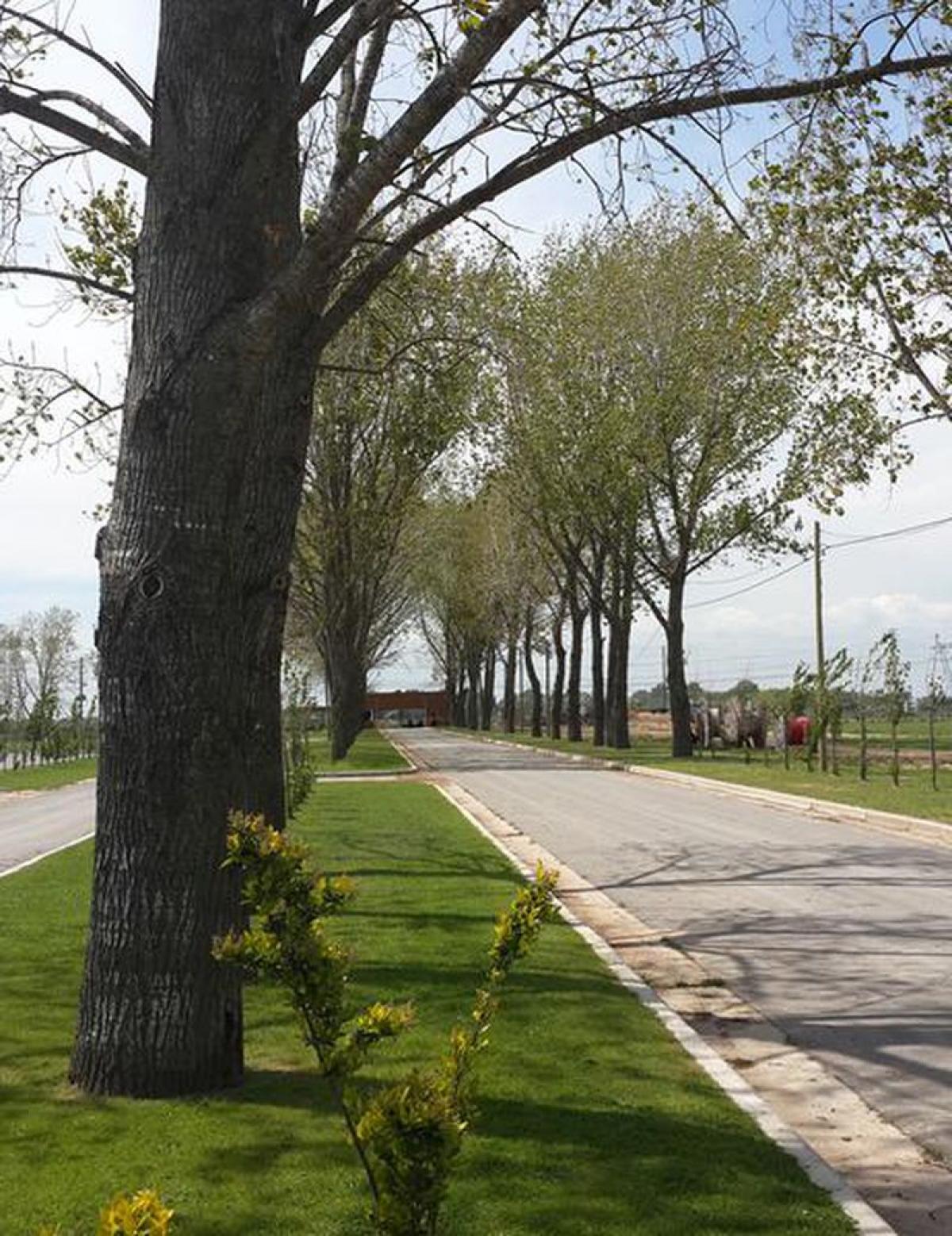 Picture of Residential Land For Sale in Esteban Echeverria, Buenos Aires, Argentina