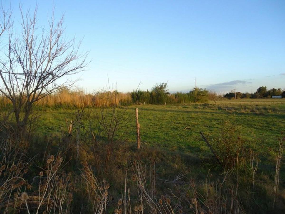 Picture of Residential Land For Sale in Florencio Varela, Buenos Aires, Argentina