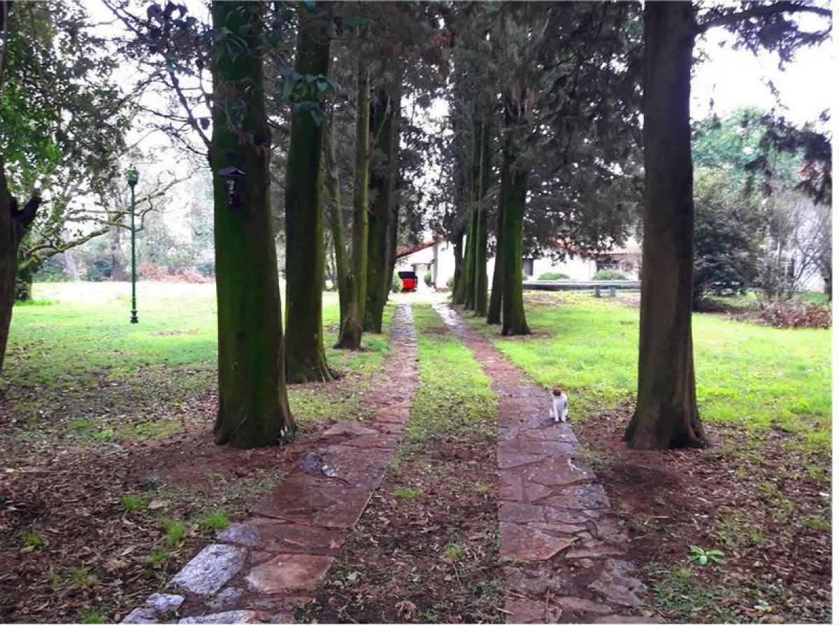 Picture of Farm For Sale in Merlo, Buenos Aires, Argentina