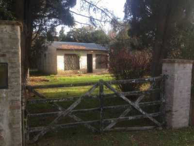 Farm For Sale in Bs.As. G.B.A. Zona Norte, Argentina