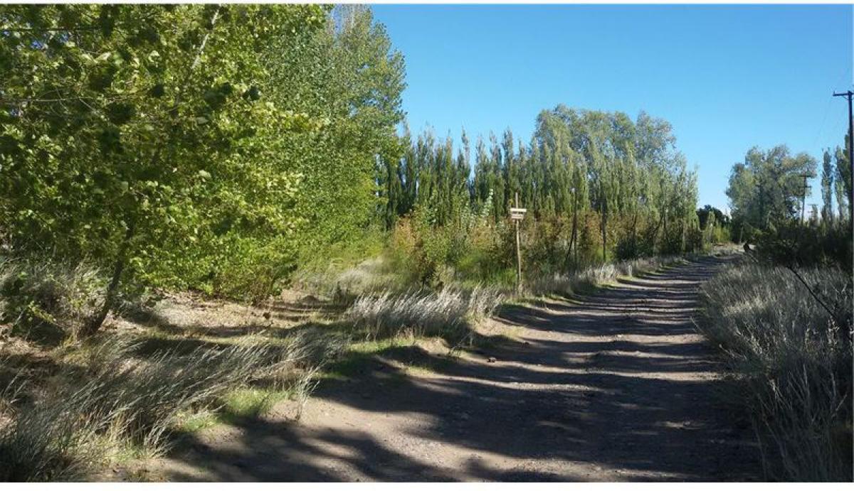 Picture of Home For Sale in Rio Negro, Rio Negro, Argentina