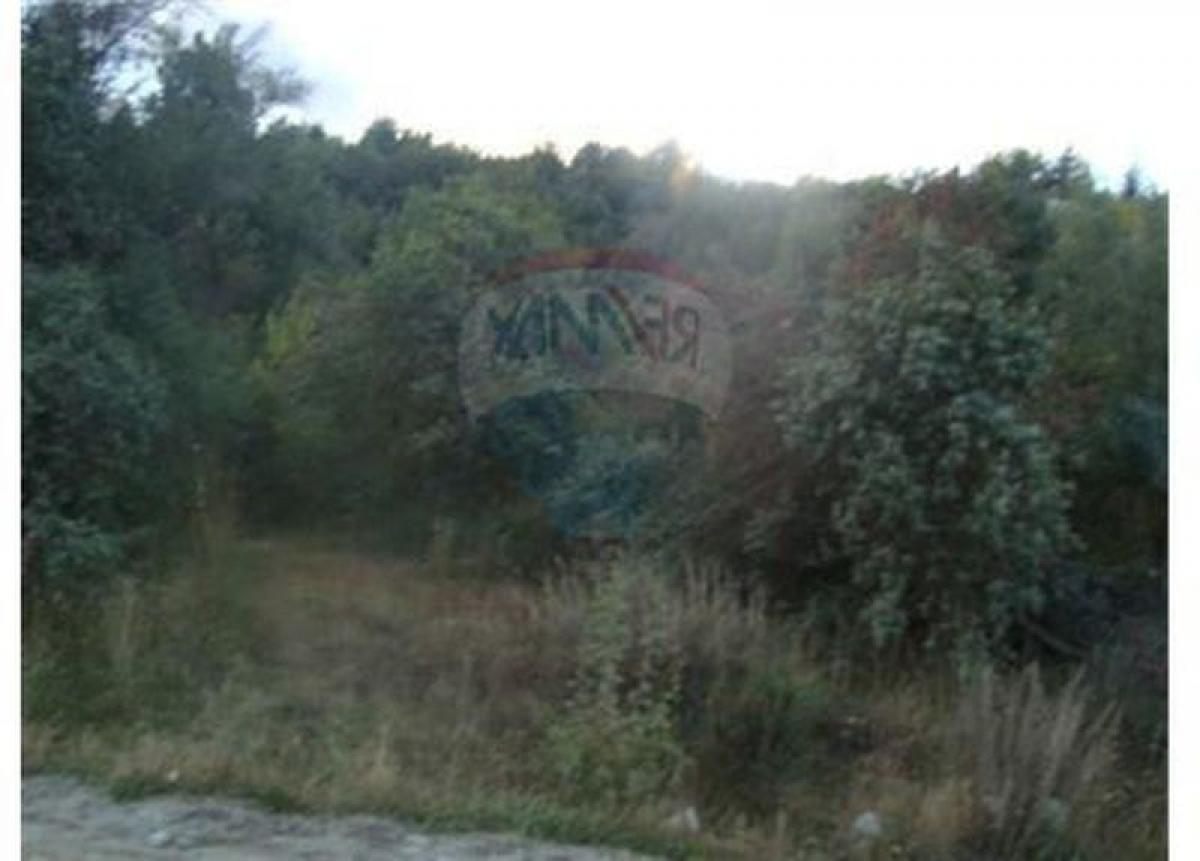 San Carlos de Bariloche, San Carlos De Bariloche, Rio Negro, Argentina