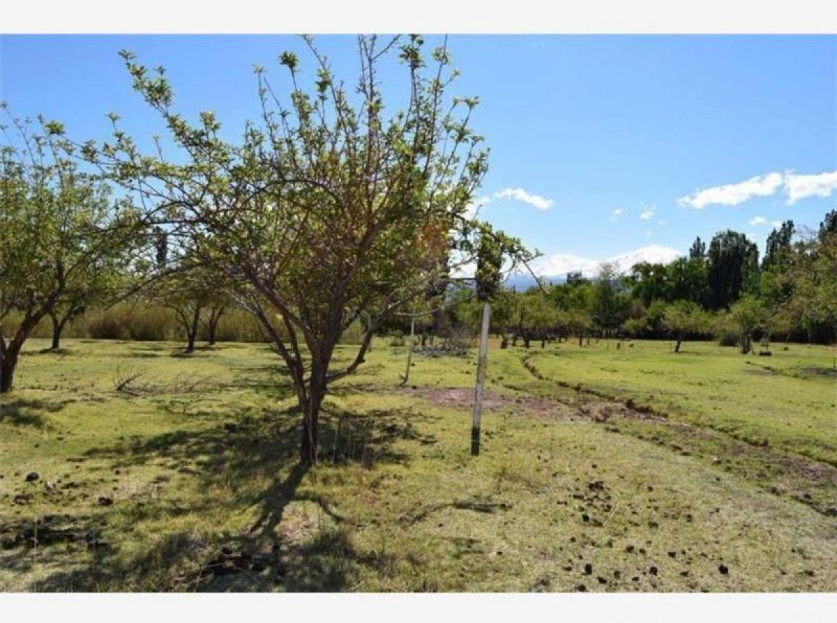 Picture of Residential Land For Sale in San Juan, San Juan, Argentina