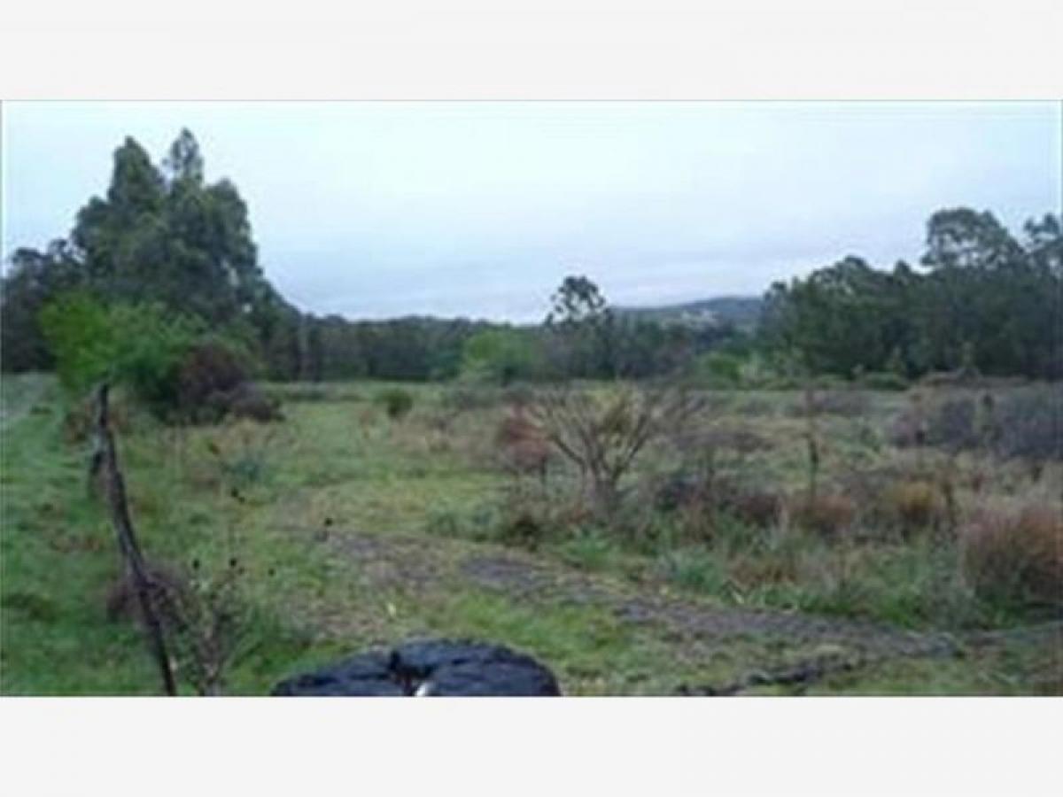 Picture of Residential Land For Sale in Tandil, Buenos Aires, Argentina