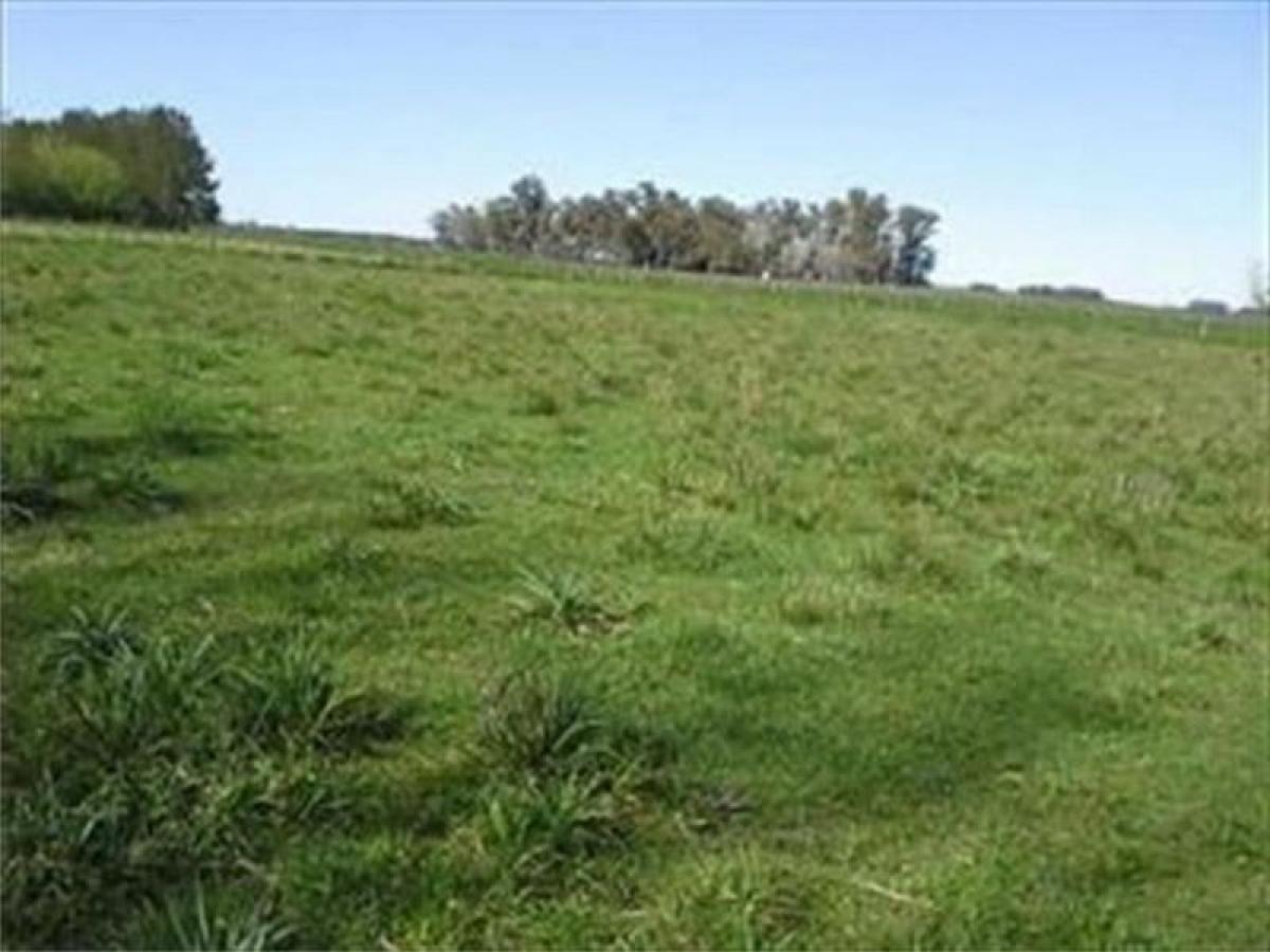 Picture of Home For Sale in San Miguel Del Monte, Buenos Aires, Argentina