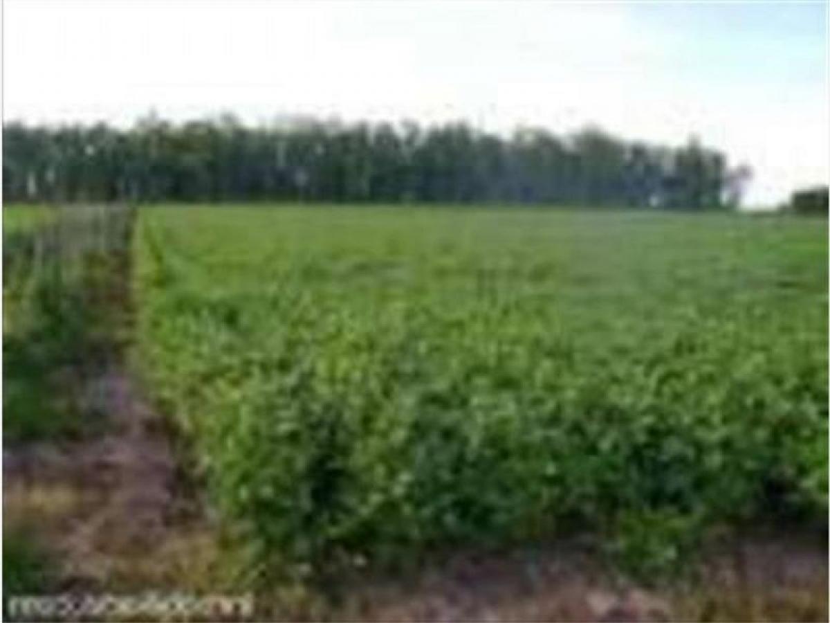 Picture of Home For Sale in Loberia, Buenos Aires, Argentina