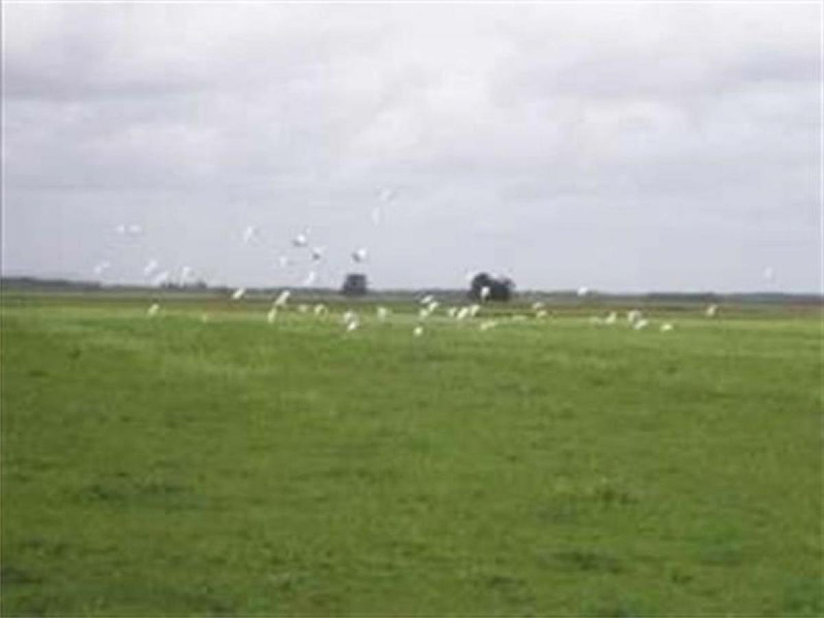 Picture of Home For Sale in Tandil, Buenos Aires, Argentina