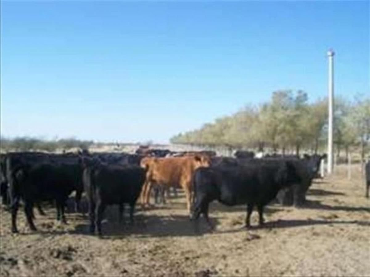 Picture of Home For Sale in Puan, Buenos Aires, Argentina