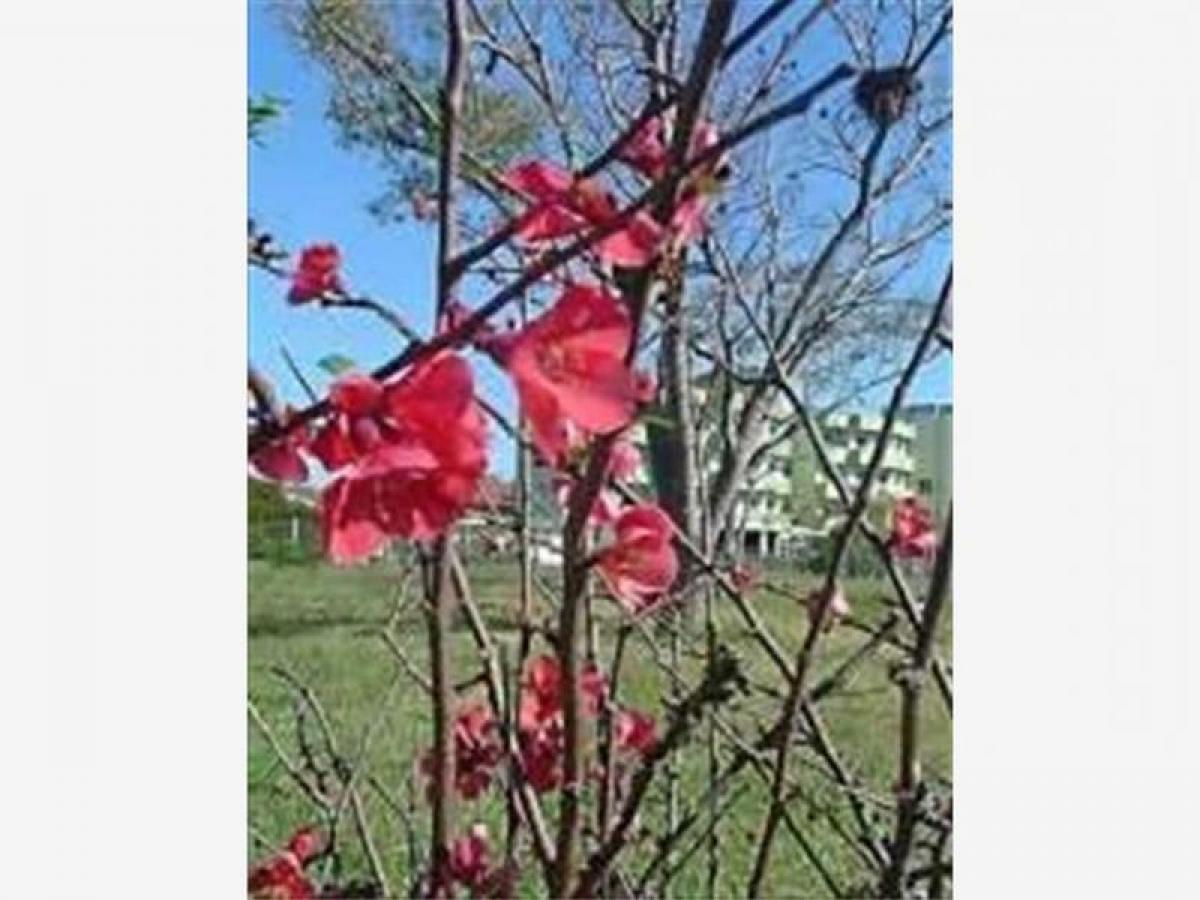 Picture of Hotel For Sale in Entre Rios, Entre Rios, Argentina