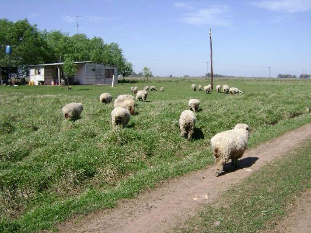 Picture of Home For Sale in Saladillo, Cordoba, Argentina