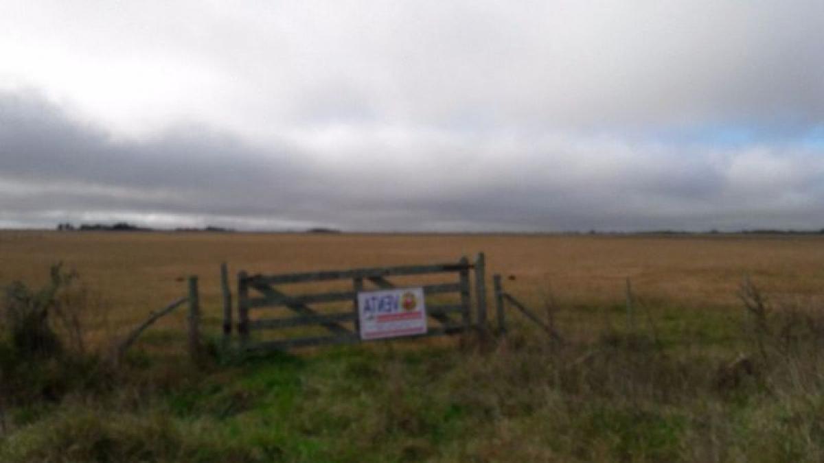 Picture of Home For Sale in Punta Indio, Buenos Aires, Argentina