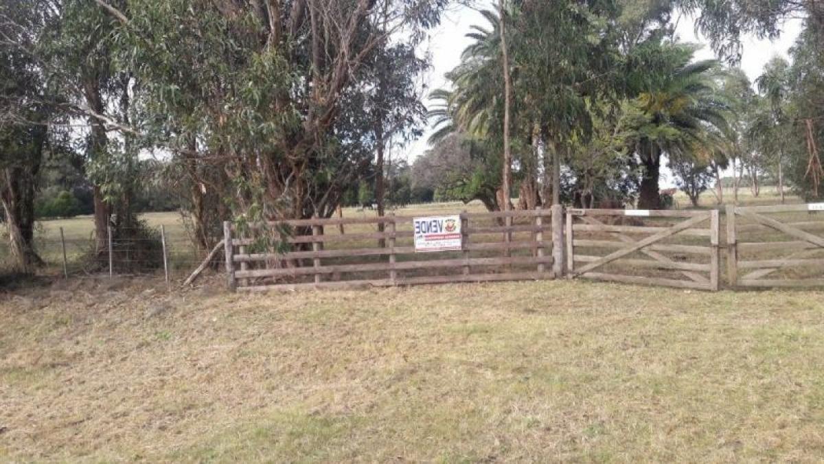 Picture of Home For Sale in Punta Indio, Buenos Aires, Argentina