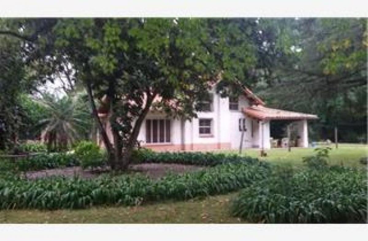 Picture of Farm For Sale in Malvinas Argentinas, Buenos Aires, Argentina