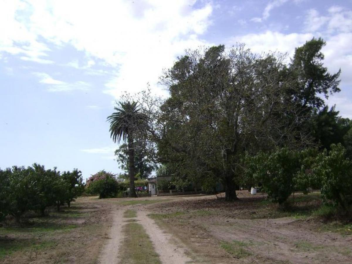 Picture of Home For Sale in San Pedro, Buenos Aires, Argentina