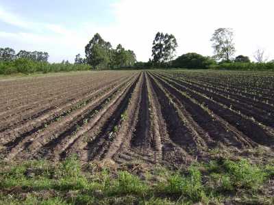 Home For Sale in San Pedro, Argentina