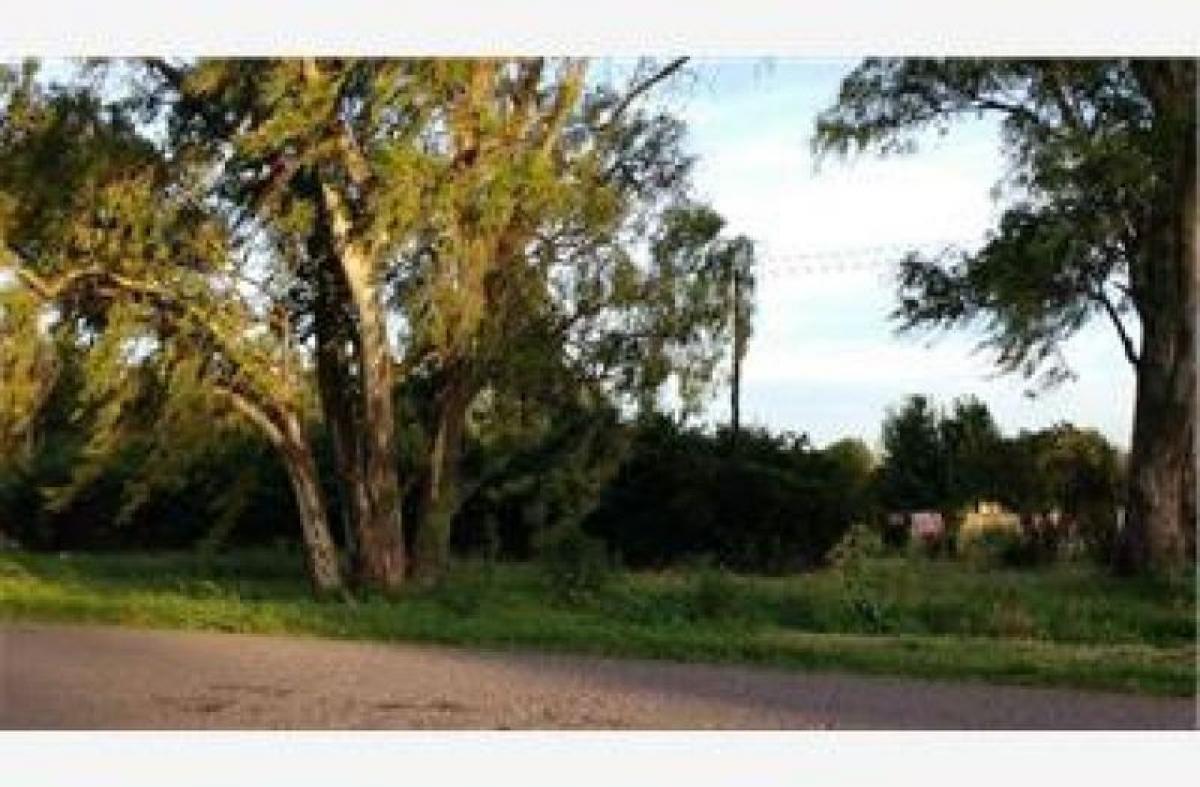 Picture of Farm For Sale in San Pedro, Buenos Aires, Argentina