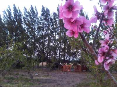 Home For Sale in San Pedro, Argentina