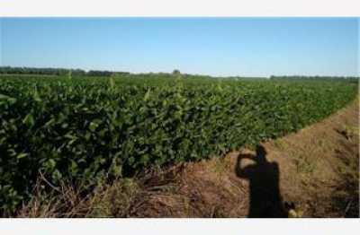 Home For Sale in San Pedro, Argentina