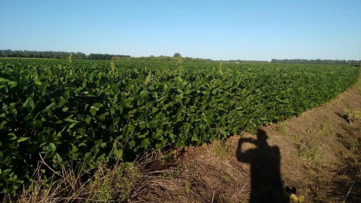Picture of Home For Sale in San Pedro, Buenos Aires, Argentina