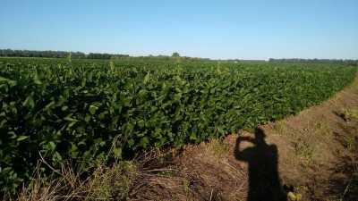 Home For Sale in San Pedro, Argentina