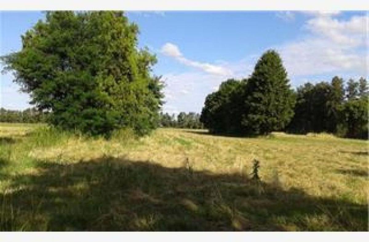 Picture of Residential Land For Sale in San Pedro, Buenos Aires, Argentina