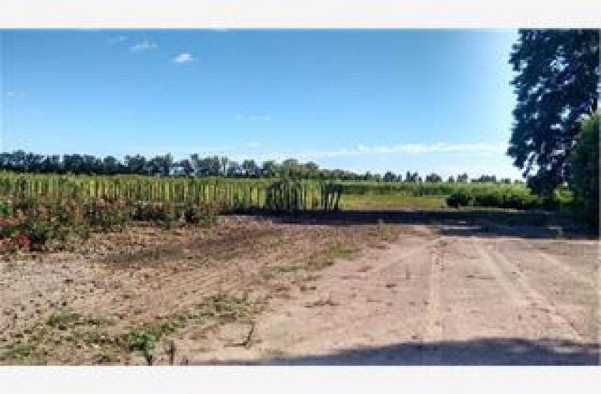 Picture of Home For Sale in San Pedro, Buenos Aires, Argentina