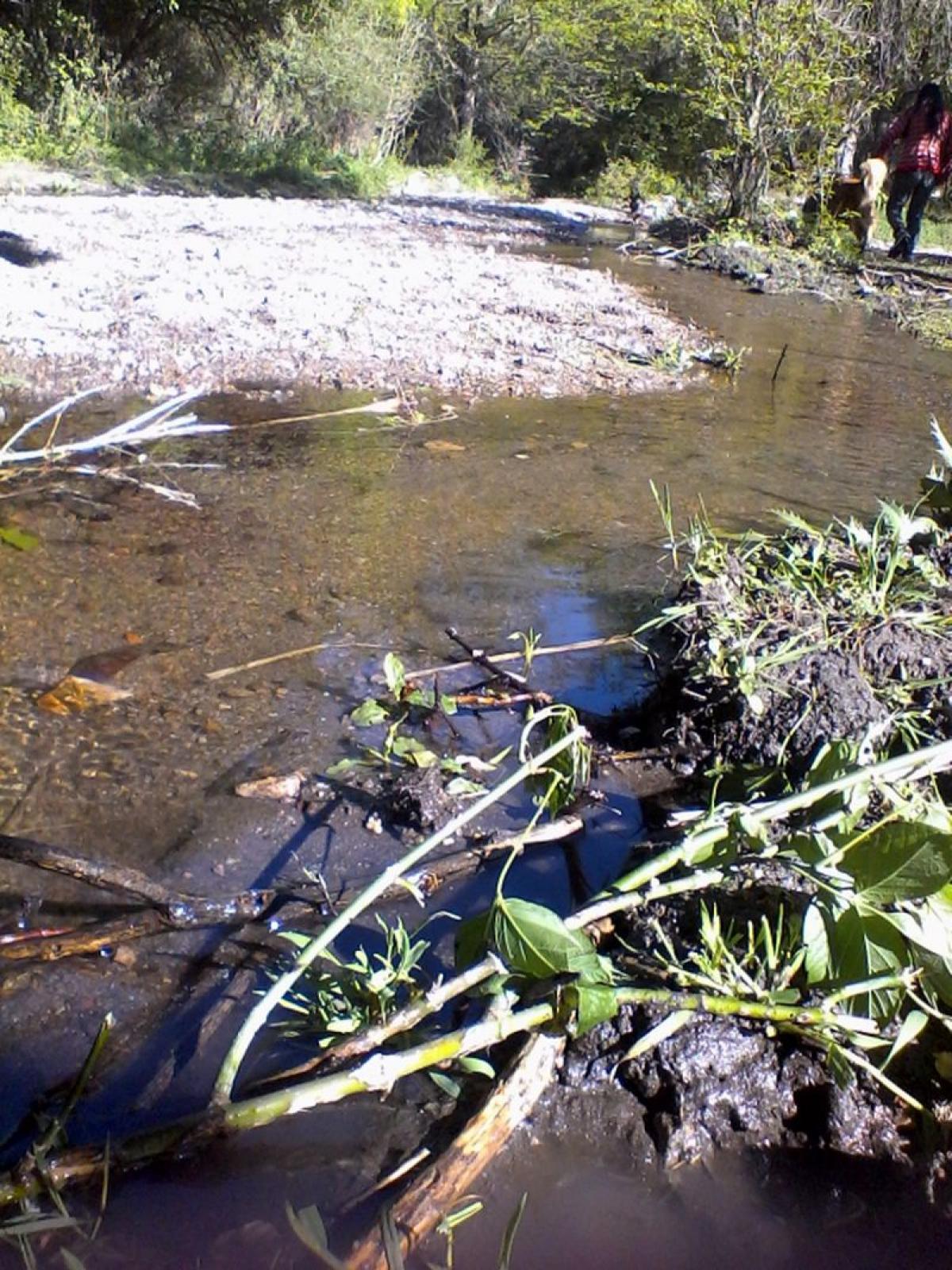 Picture of Farm For Sale in Cordoba, Cordoba, Argentina