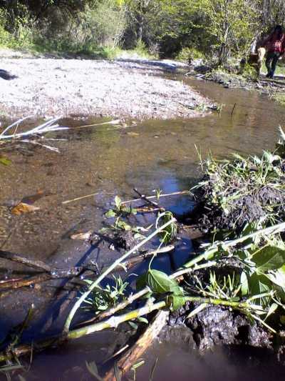 Farm For Sale in Cordoba, Argentina