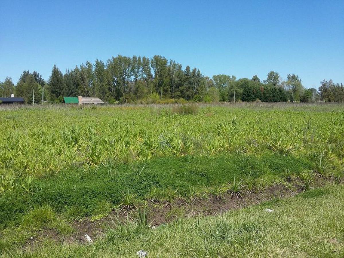 Picture of Residential Land For Sale in Lobos, Buenos Aires, Argentina