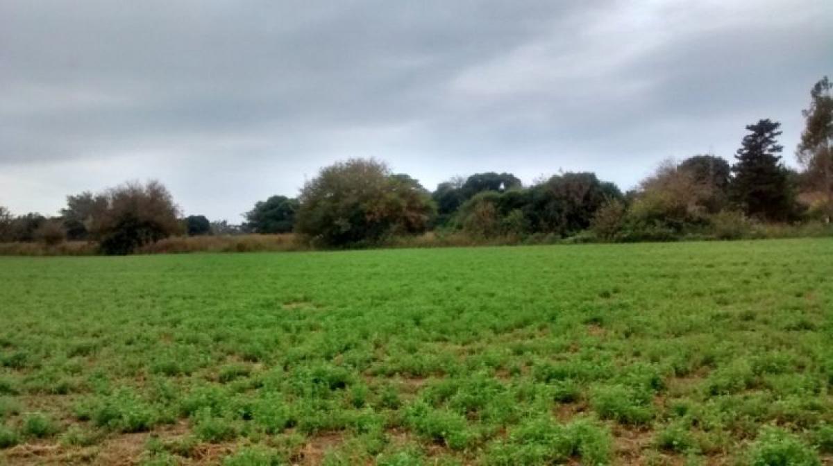 Picture of Home For Sale in Formosa, Formosa, Argentina