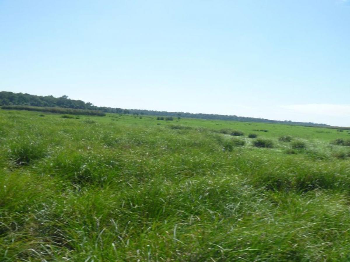 Picture of Home For Sale in Formosa, Formosa, Argentina