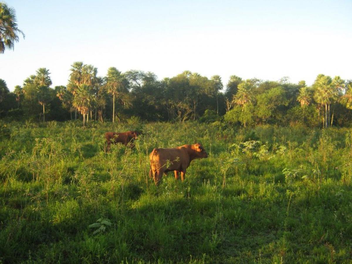 Picture of Home For Sale in Formosa, Formosa, Argentina