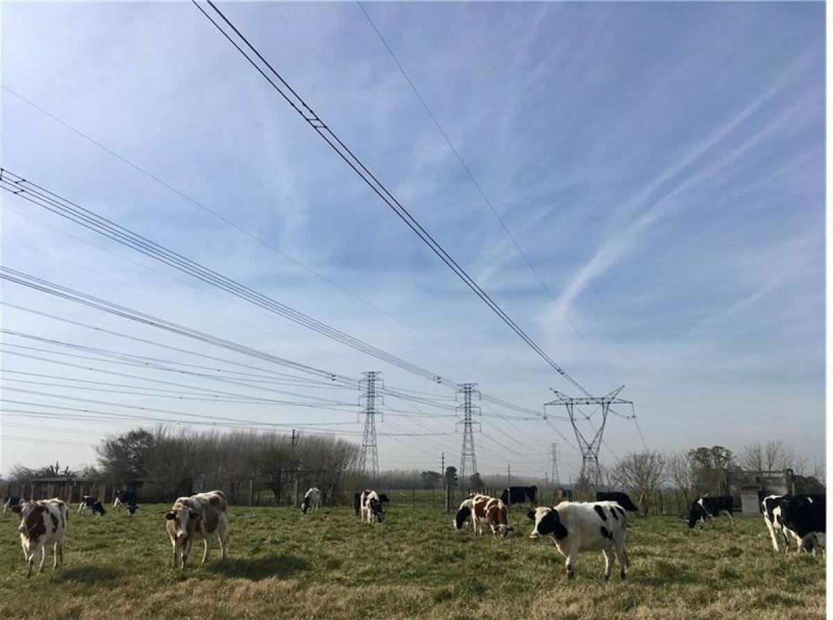 Picture of Home For Sale in Canuelas, Buenos Aires, Argentina