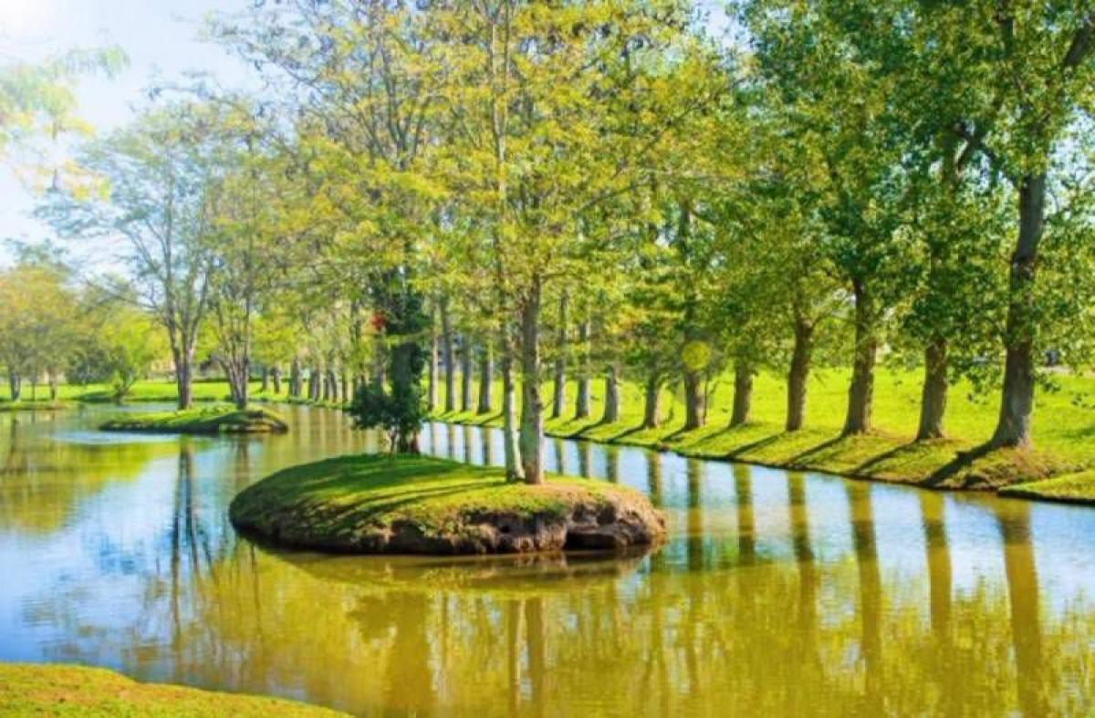 Picture of Residential Land For Sale in Berazategui, Buenos Aires, Argentina