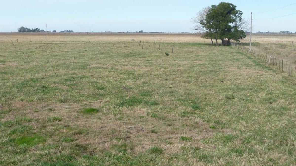 Picture of Home For Sale in Magdalena, Buenos Aires, Argentina