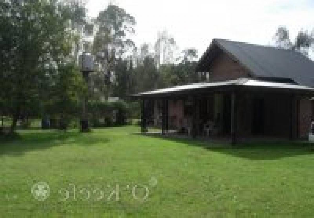 Picture of Farm For Sale in Berazategui, Buenos Aires, Argentina