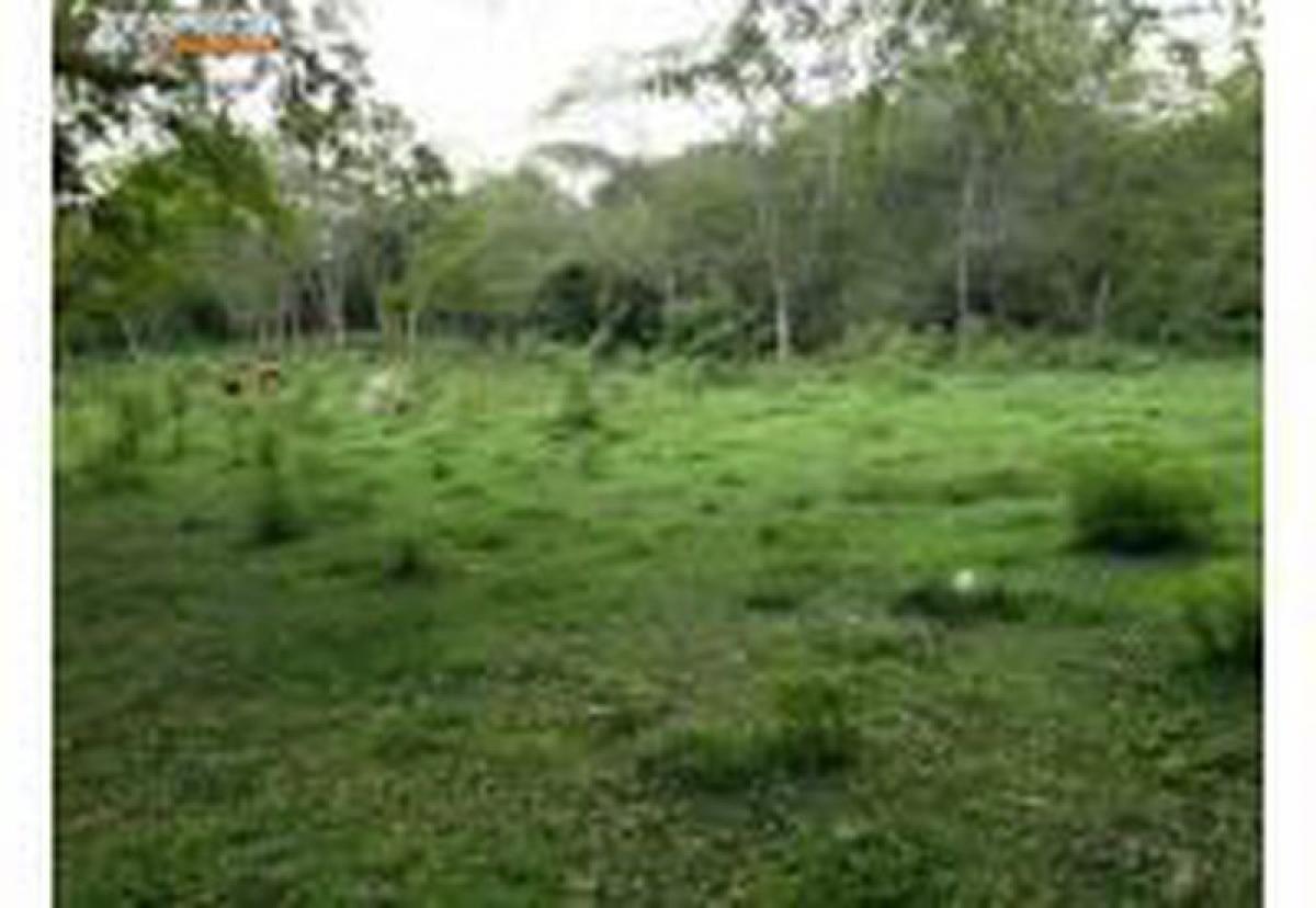 Picture of Residential Land For Sale in Veinticinco De Mayo, Buenos Aires, Argentina