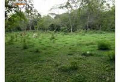 Residential Land For Sale in 