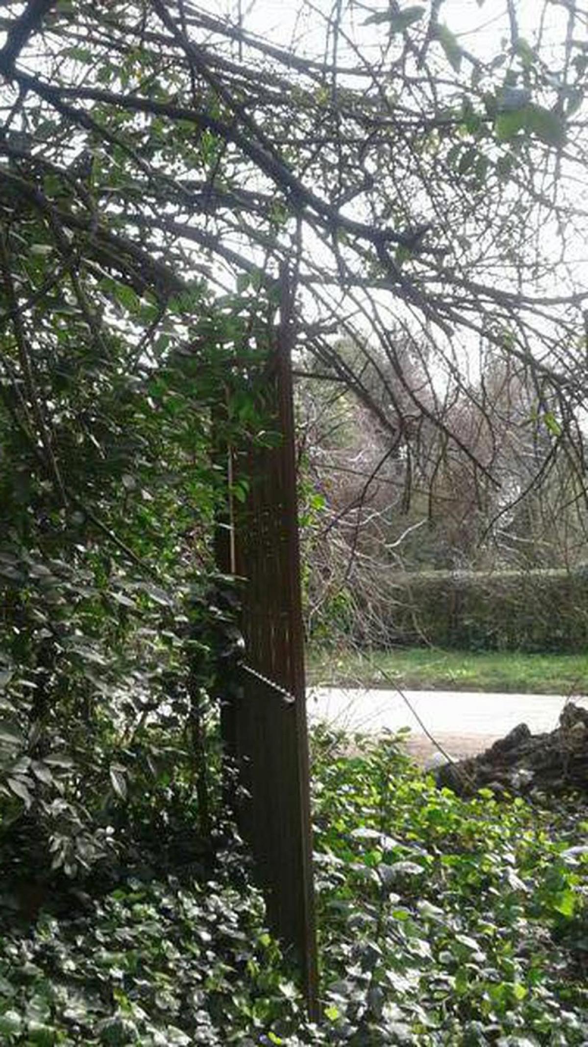 Picture of Home For Sale in Ezeiza, Buenos Aires, Argentina