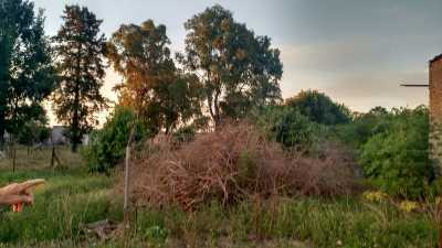 Residential Land For Sale in 