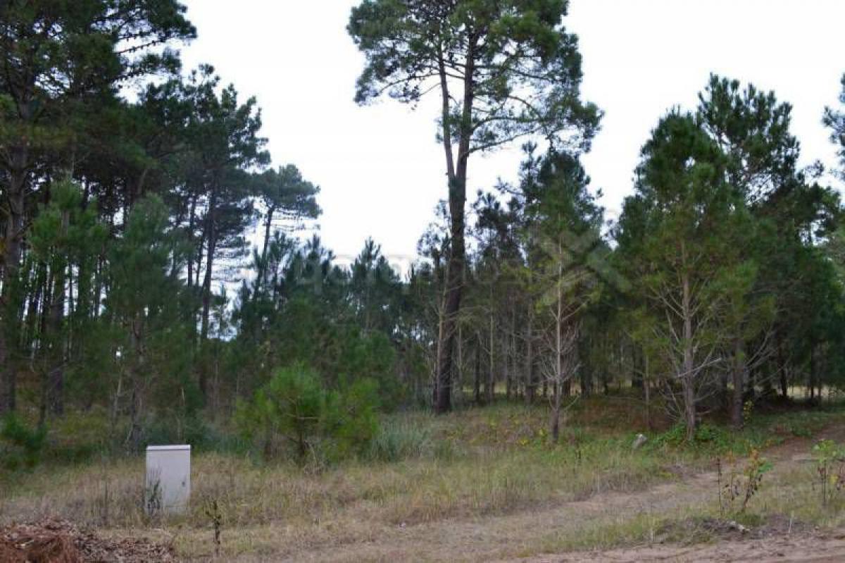 Picture of Residential Land For Sale in Buenos Aires Costa Atlantica, Buenos Aires, Argentina