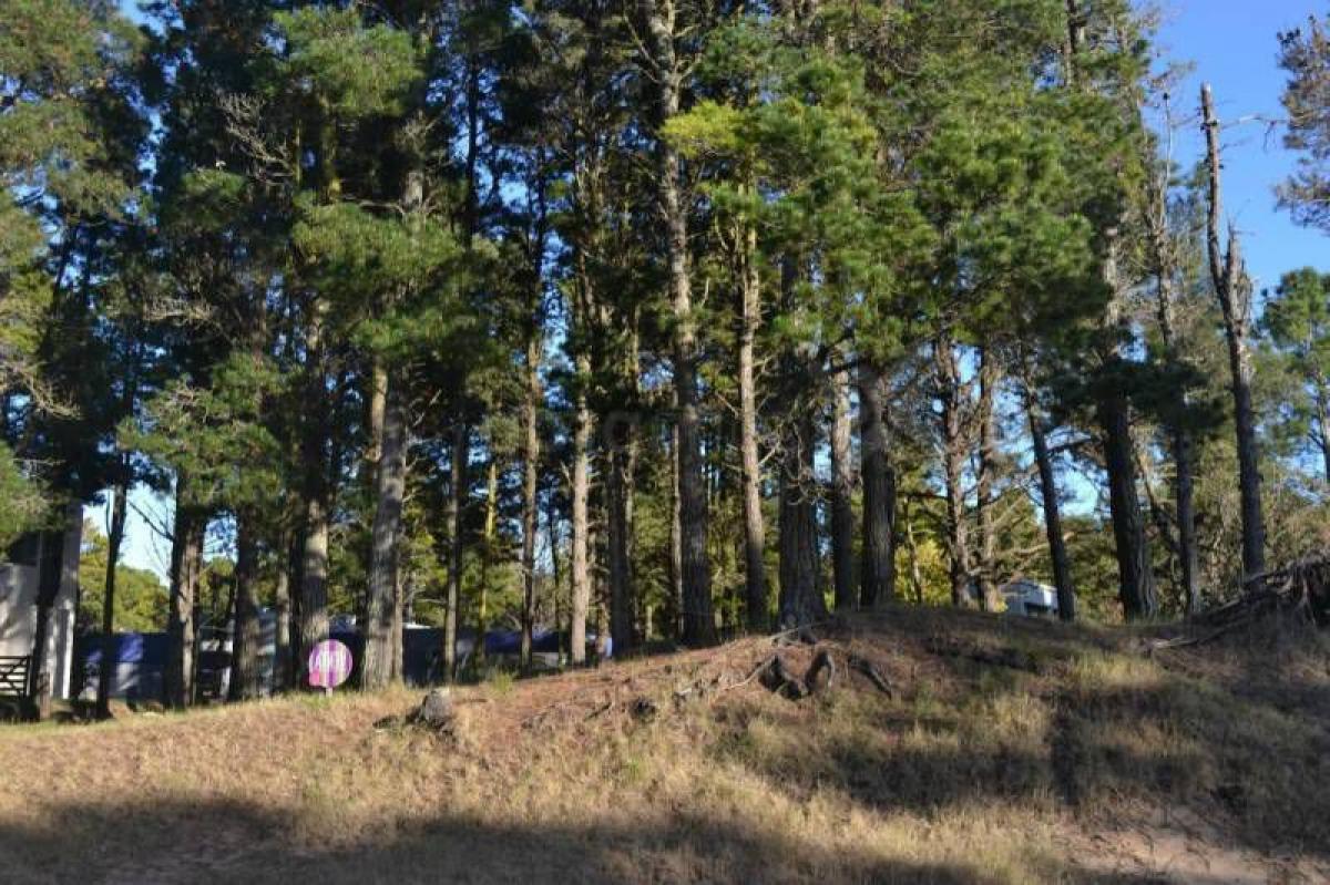 Picture of Residential Land For Sale in Buenos Aires Costa Atlantica, Buenos Aires, Argentina