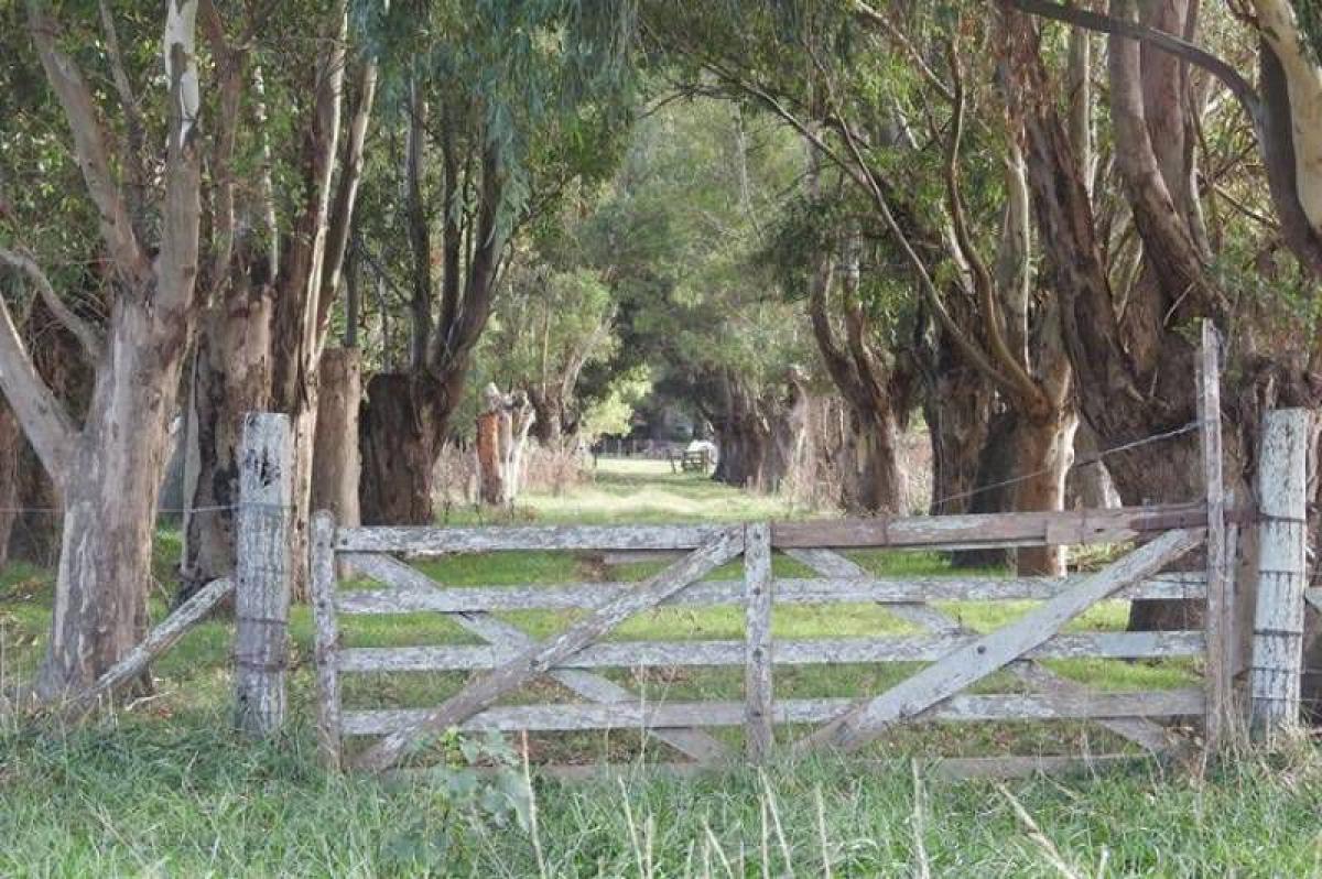 Picture of Home For Sale in San Miguel Del Monte, Buenos Aires, Argentina