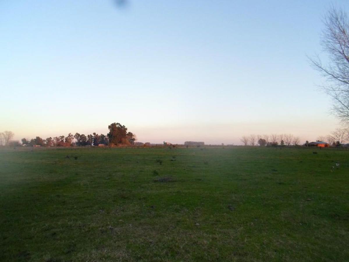 Picture of Farm For Sale in Brandsen, Buenos Aires, Argentina