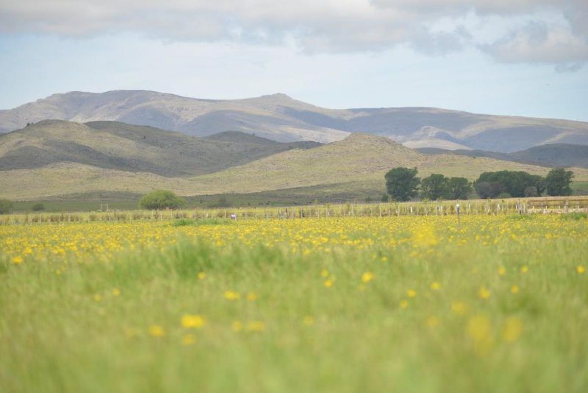 Picture of Residential Land For Sale in Buenos Aires Costa Atlantica, Buenos Aires, Argentina