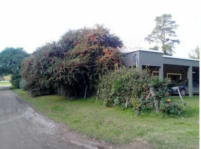 Farm For Sale in Tandil, Argentina
