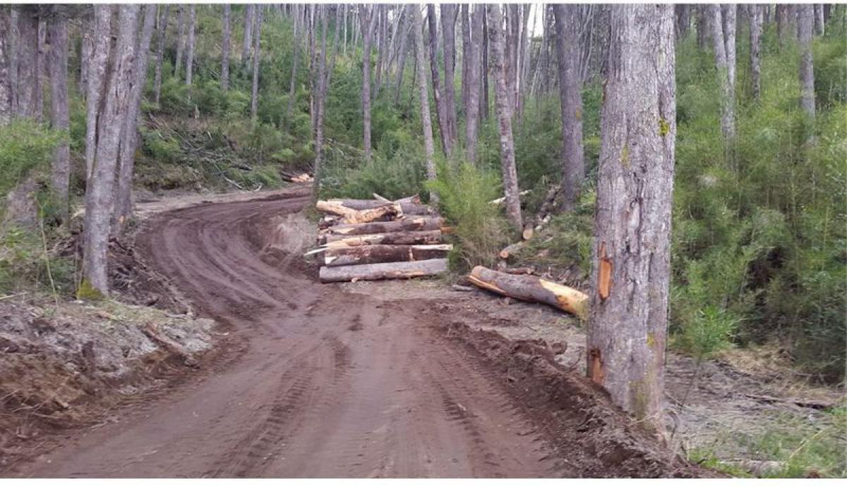 Picture of Residential Land For Sale in Neuquen, Neuquen, Argentina