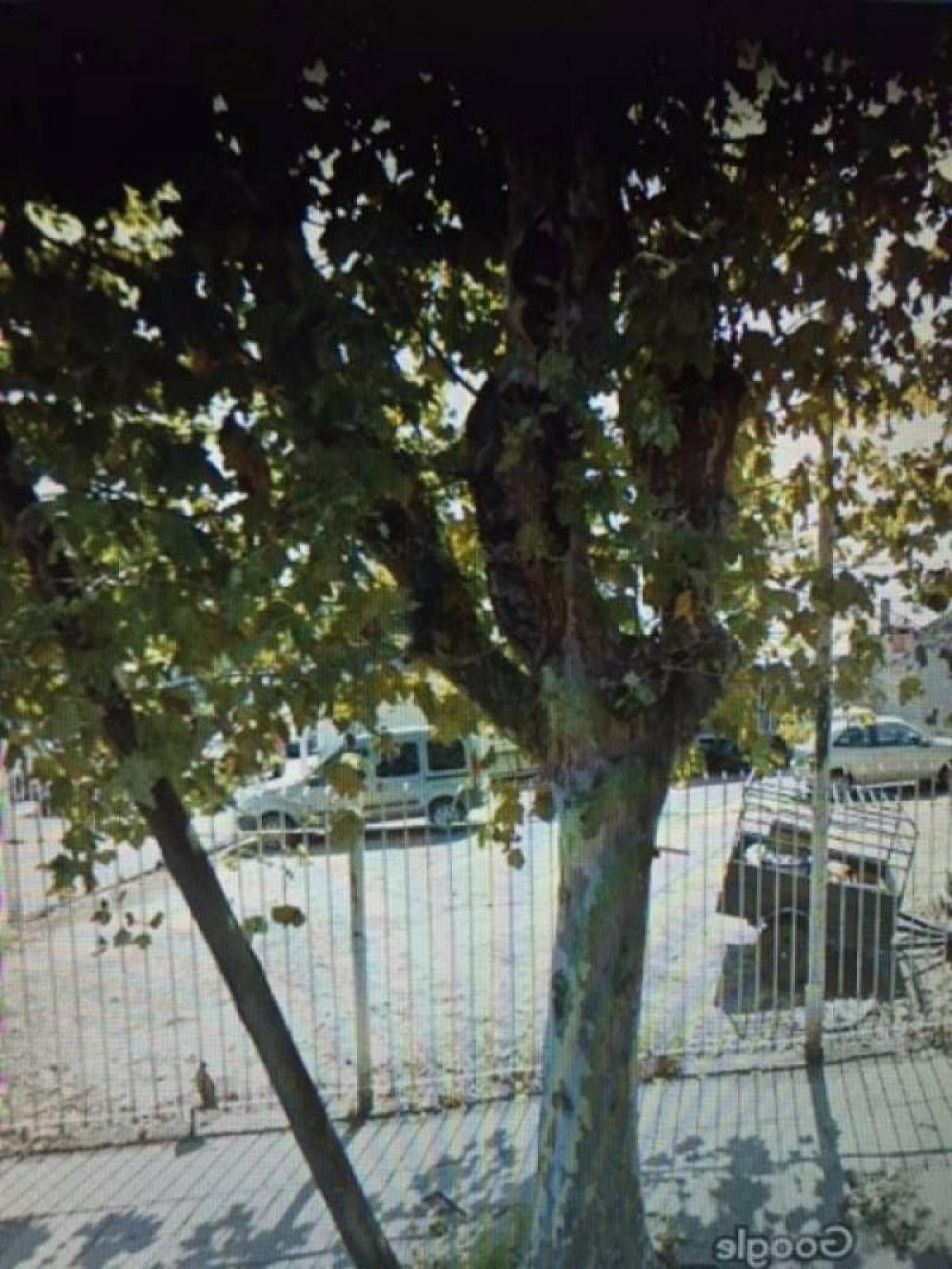 Picture of Residential Land For Sale in San Fernando, Buenos Aires, Argentina